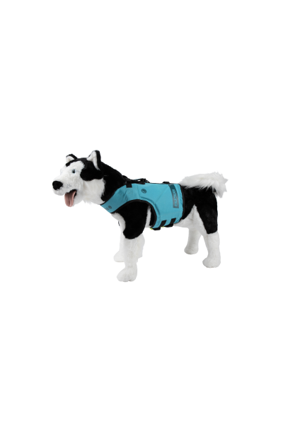 Radar Dog Life Jacket Blue