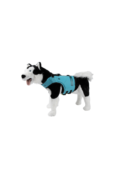 Radar Dog Life Jacket Blue