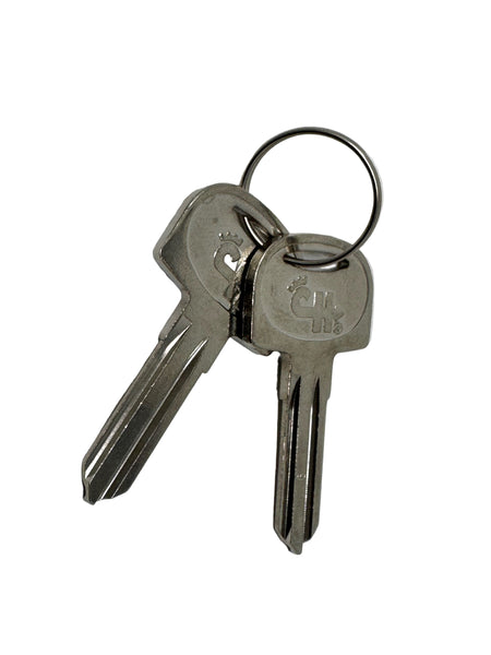 Two keys on a keychain against a light gray background