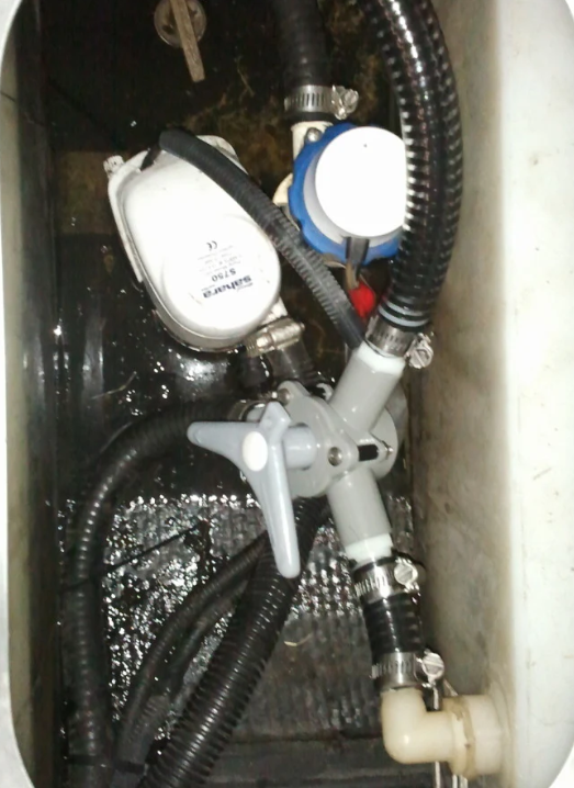Bosworth Sea-Lect Y Valve 1"