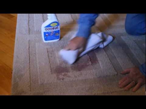 ZCare Ooops Stain and Odor Remover 32 oz