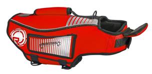 What you Need to Know about Boating with Pets