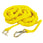 Anchor Buddy Stretchable Anchor Line 14-50Ft