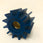 Globe 100J Run Dry Impeller Services indmar and F6B Pump