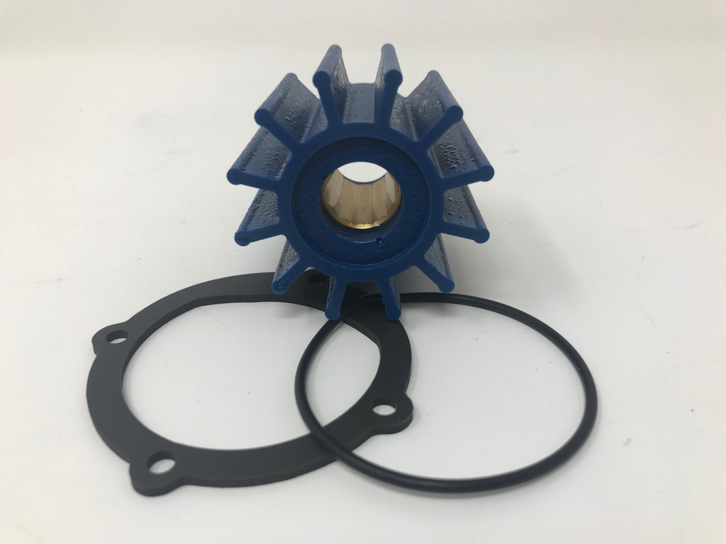 Globe 100J Run Dry Impeller Services indmar and F6B Pump