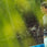 Waterskier wearing the Radar John Top sleeveless neoprene layer