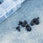 Radar waterski boot replacement screws 10-pack with plastic washers