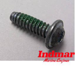 HVS Distributor Cap Screw