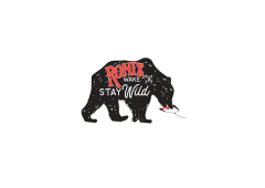 Ronix Visible Sticker 2021